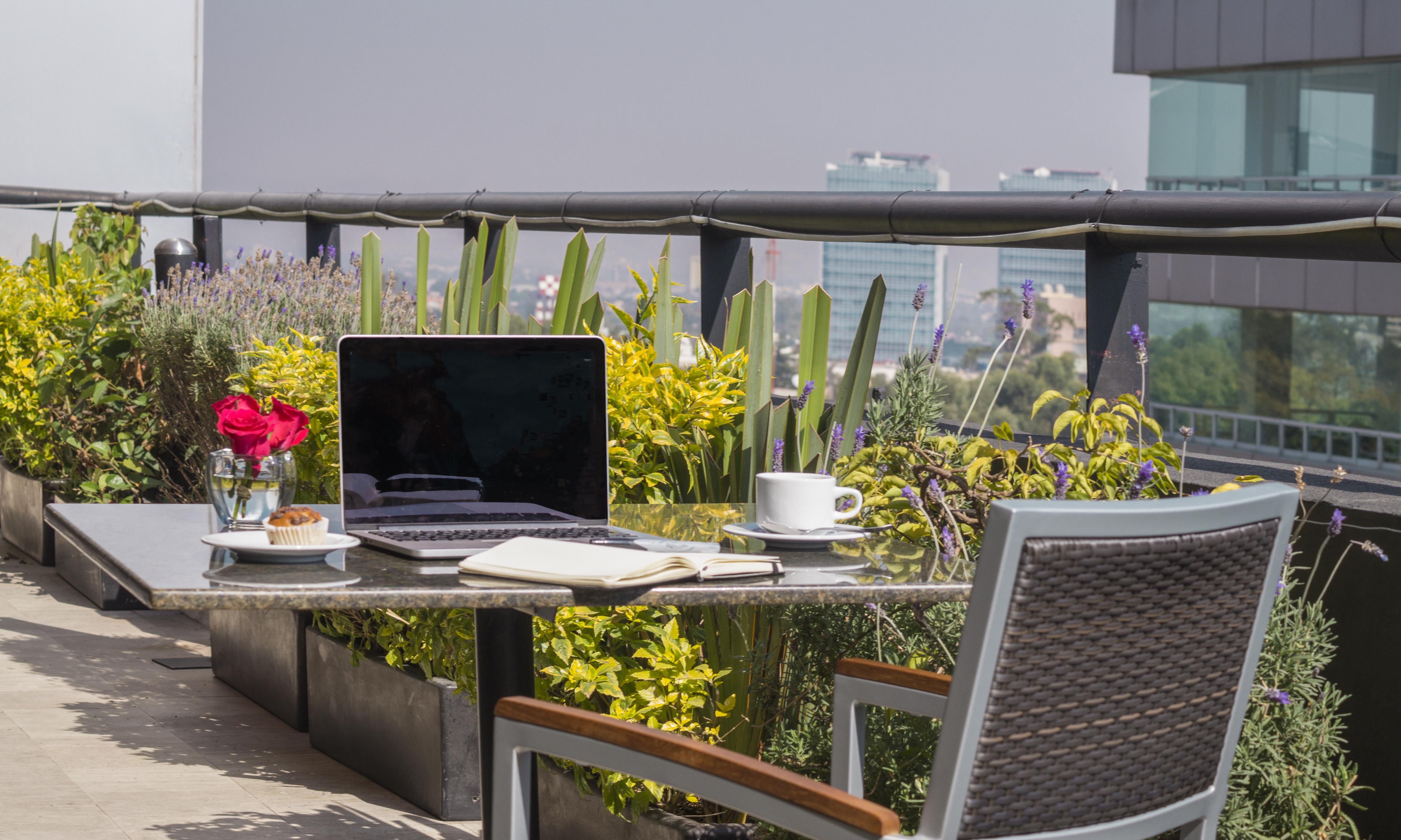Alteza Polanco Hotell Mexico City Exteriör bild